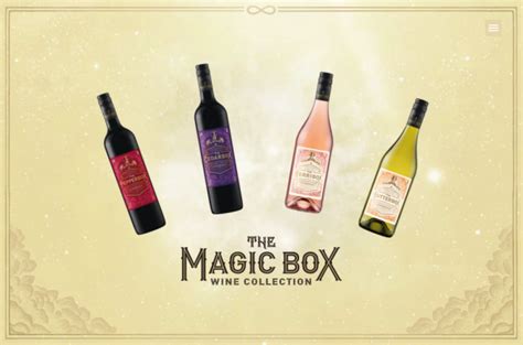 The Magic Box Winw: Fusing Gaming with Social Connectivity
